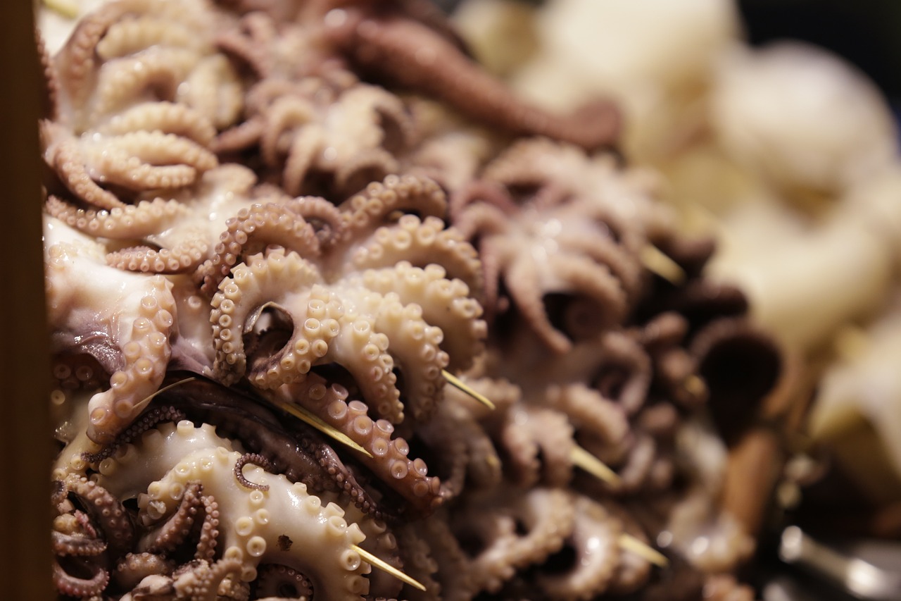 漳州投資區(qū)角美懷順?biāo)a(chǎn)品養(yǎng)殖場（漳州角美海鮮市場在哪）