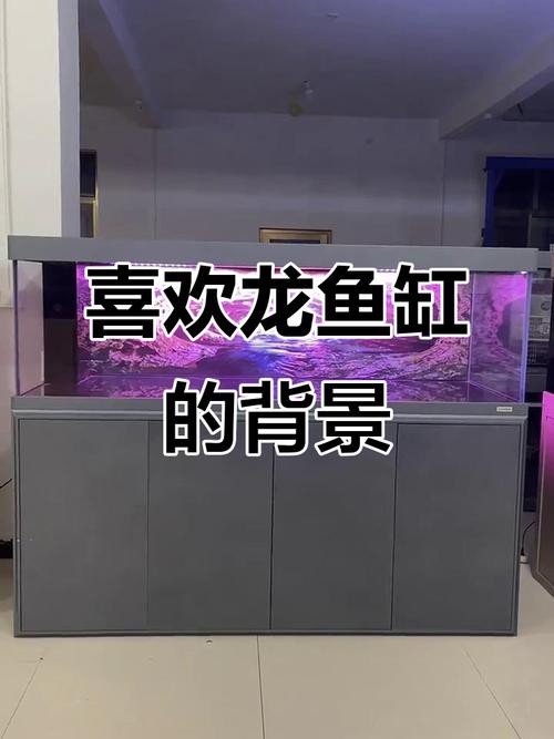 有沒有更多高清的龍魚缸背景圖？