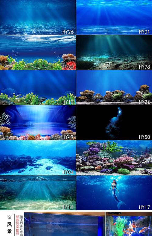 有沒有更多高清的龍魚缸背景圖？