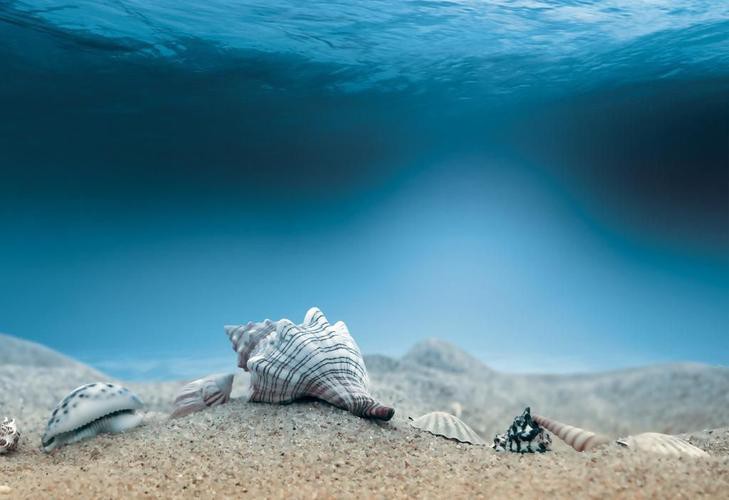 有沒有更多高清的龍魚缸背景圖？