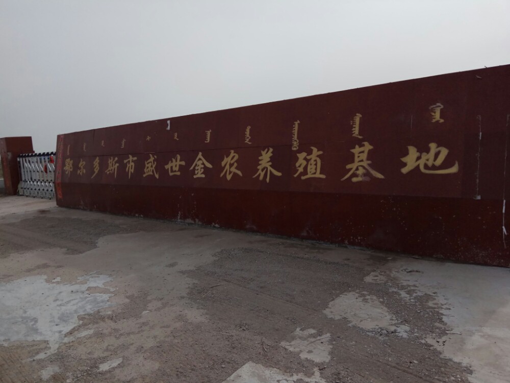鄂爾多斯龍魚養殖基地在哪里有賣