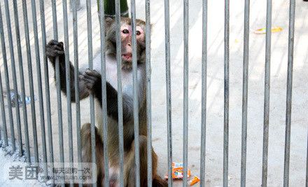 鄂爾多斯龍魚養殖基地在哪里有賣