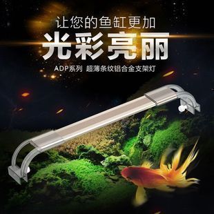 森森魚缸燈多少伏：森森魚缸燈12伏電壓的選擇