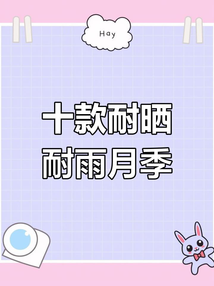 有哪些月季品種比紅龍更耐雨？ 有哪些月季品種比紅龍更耐雨？ 龍魚百科 第1張