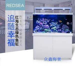 生態(tài)魚缸的養(yǎng)護(hù)秘籍想要打造一個健康的生態(tài)魚缸：海景魚缸和生態(tài)魚缸的區(qū)別是什么？ 生態(tài)魚缸的養(yǎng)護(hù)秘籍想要打造一個健康的生態(tài)魚缸：海景魚缸和生態(tài)魚缸的區(qū)別是什么？ 魚缸百科 第4張