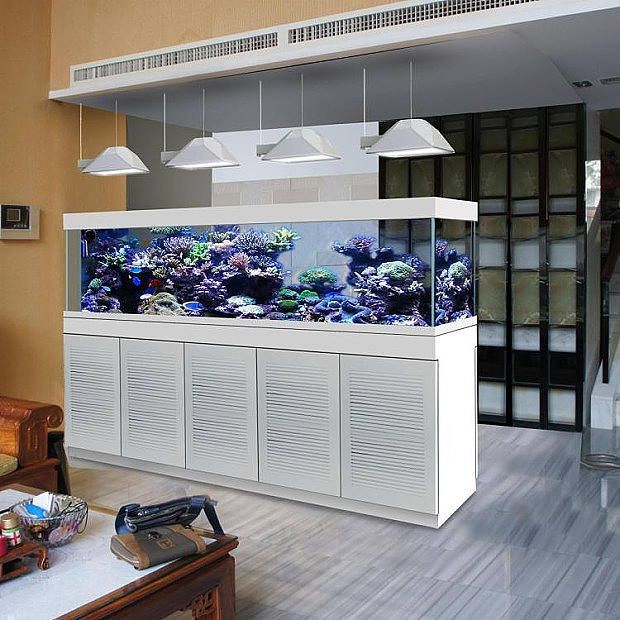 生態(tài)魚缸的養(yǎng)護(hù)秘籍想要打造一個健康的生態(tài)魚缸：海景魚缸和生態(tài)魚缸的區(qū)別是什么？ 生態(tài)魚缸的養(yǎng)護(hù)秘籍想要打造一個健康的生態(tài)魚缸：海景魚缸和生態(tài)魚缸的區(qū)別是什么？ 魚缸百科 第3張