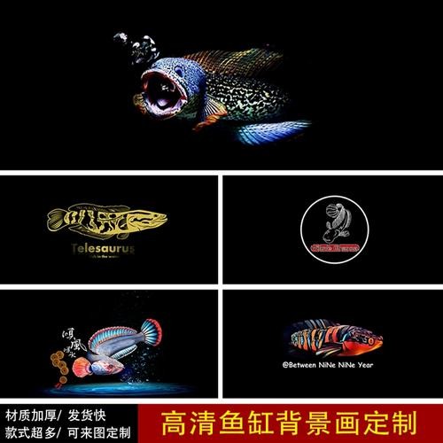 雷龍魚圖片背景紙畫