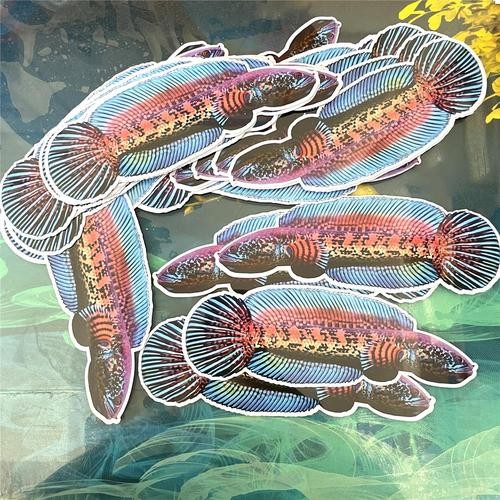 雷龍魚圖片背景紙畫