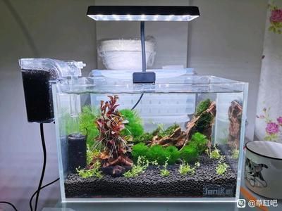 30cm魚缸造景圖片（30cm魚缸造景圖片和圖片資源和圖片資源）