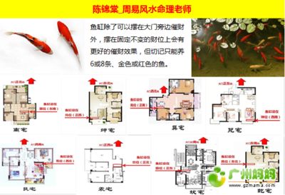 魚缸擺在大門對面好嗎（魚缸擺在大門對面好嗎,）