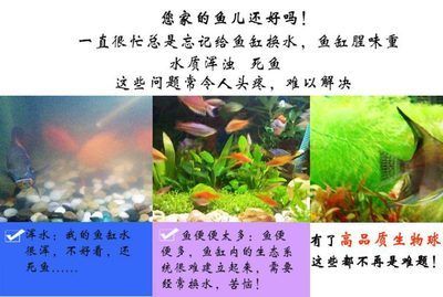 國內(nèi)品牌魚缸排名前十：2024年國產(chǎn)品牌魚缸排名前十