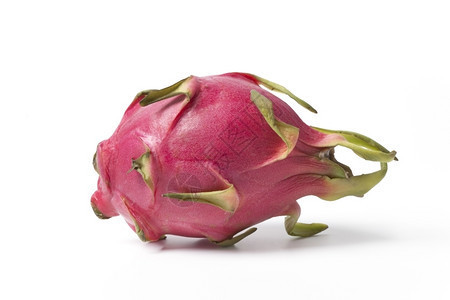 魚缸用增氧泵價格是多少:魚缸增氧機-xtrac增氧機-xtrac增氧機 昆明市盤龍區碧濤水族館 全國水族館企業名錄 昆明市盤龍區碧濤水族館 昆明市盤龍區碧濤水族館 全國水族館企業名錄