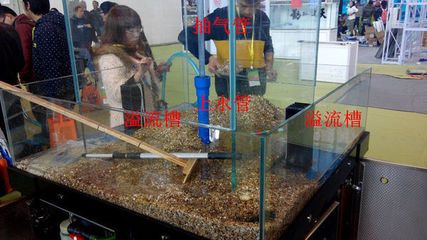 魚(yú)缸底濾的制作過(guò)程：底濾魚(yú)缸制作過(guò)程