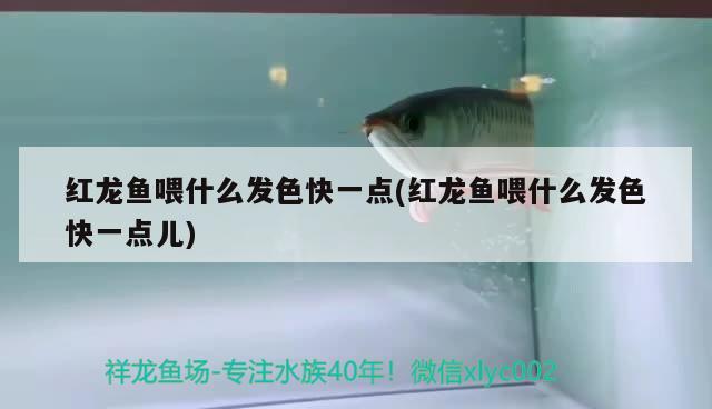 上海市閘北區小強水族店