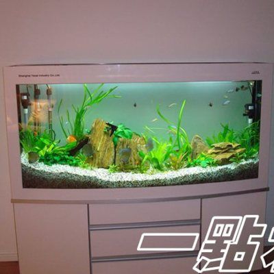 觀賞魚缸的價格是多少：觀賞魚缸價格