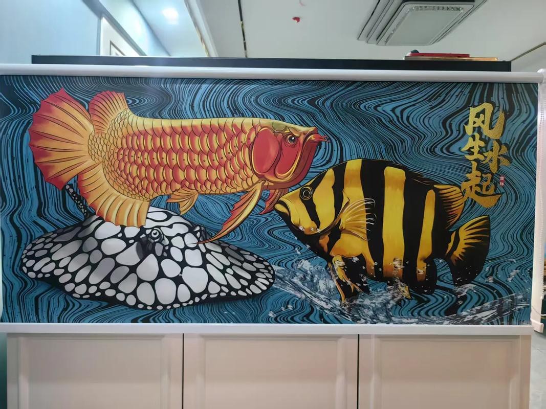 金龍魚魚缸背景圖片欣賞 金龍魚魚缸背景圖片欣賞 龍魚百科 第13張