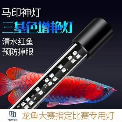 紅龍魚好不好養在魚缸里（紅龍魚在魚缸里的養殖并不簡單，紅龍魚水質管理技巧）