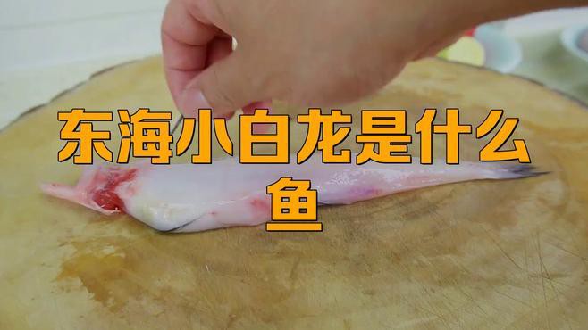 小白龍魚怎么做才好吃 小白龍魚怎么做才好吃 龍魚百科 第1張