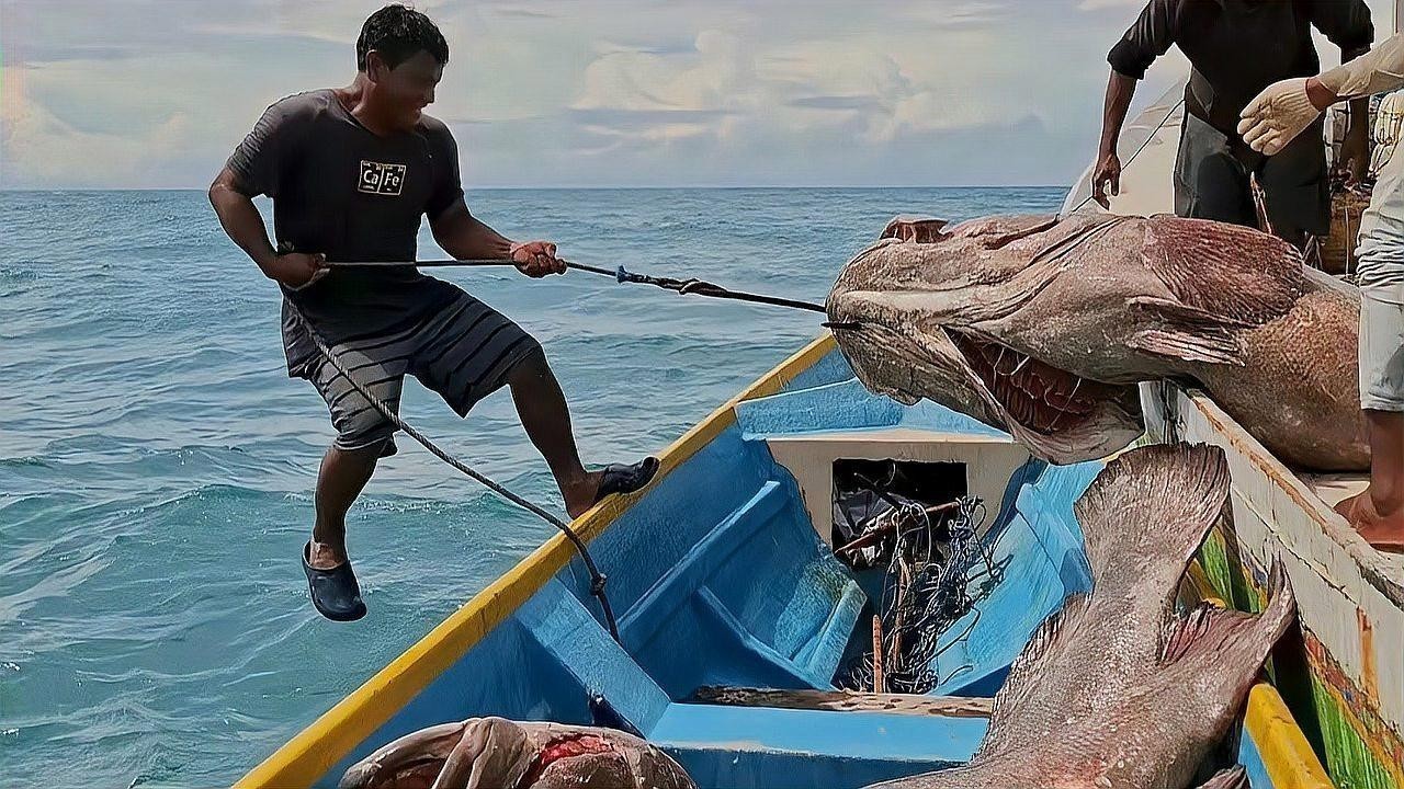 龍躉有哪些常見的烹飪方法？