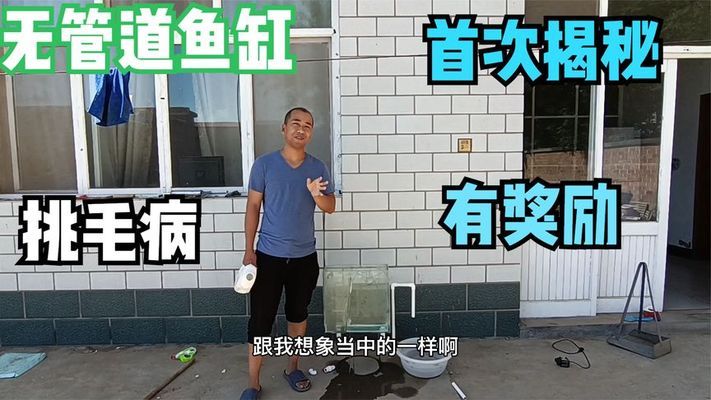 海城市海州區玲玲水族店（海城市海州區玲玲水族店在哪）