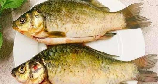 喂食龍魚冷凍魚好還是魚干好：喂食龍魚時，選擇冷凍魚還是魚干好，喂食龍魚冷凍魚好還是魚干好