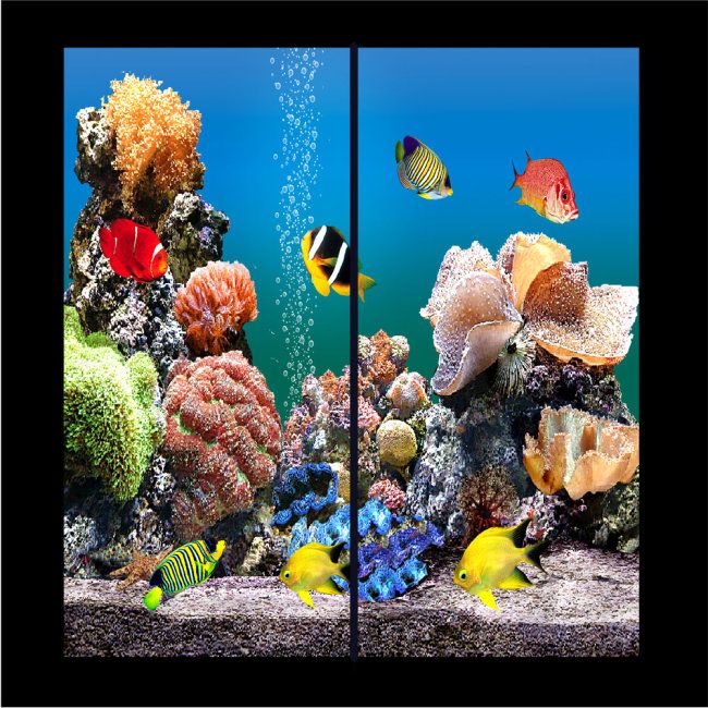 如何打造家庭海洋生態魚缸：全球最大的海洋生物展覽館——奧杜邦中心