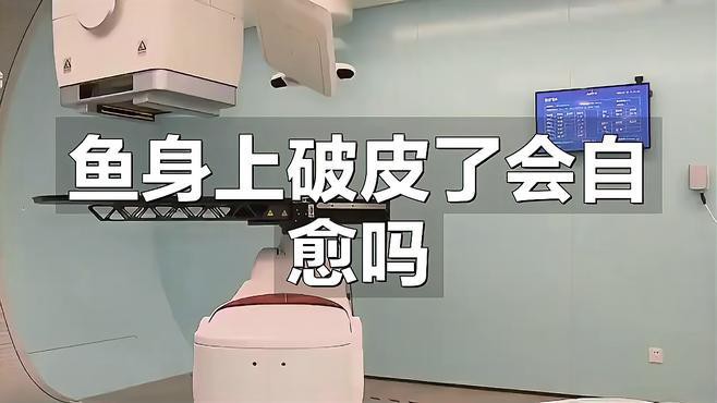 龍魚鱗爛會自愈嗎