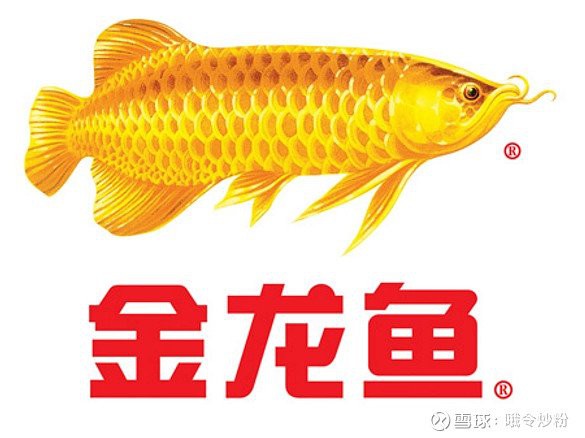 金龍魚官方網站提供哪些產品？