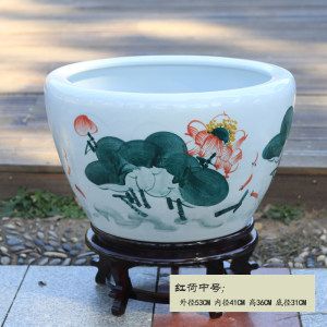 古法養魚和現代養魚的區別：古法養魚與現代養魚對比古法養魚與現代養魚對比 古法養魚和現代養魚的區別：古法養魚與現代養魚對比古法養魚與現代養魚對比 魚缸百科 第4張