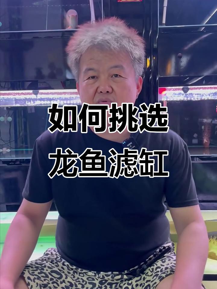 哪種類型的魚缸最適合養龍魚？