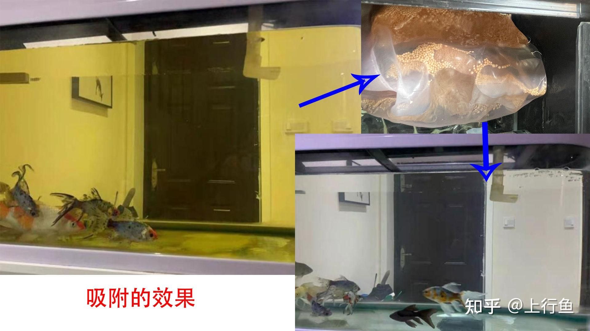 蛋白棉的凈水原理是什么？如何正確使用蛋白棉？：關于蛋白棉的使用注意事項蛋白棉的使用注意事項