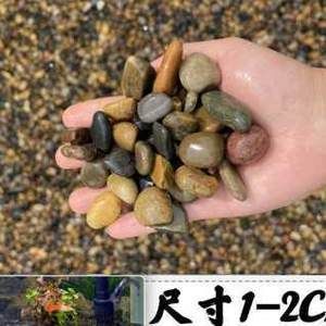 底濾魚缸過濾系統的優勢包括：沼澤過濾加入底濾魚缸：底濾魚缸沼澤過濾系統的優勢包括：沼澤過濾的優勢 底濾魚缸過濾系統的優勢包括：沼澤過濾加入底濾魚缸：底濾魚缸沼澤過濾系統的優勢包括：沼澤過濾的優勢 魚缸百科 第3張