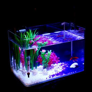 龍魚(yú)缸爆褐藻的處理方法（如何解決龍魚(yú)缸爆褐藻的問(wèn)題）