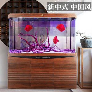 龍魚(yú)缸爆褐藻的處理方法（如何解決龍魚(yú)缸爆褐藻的問(wèn)題）