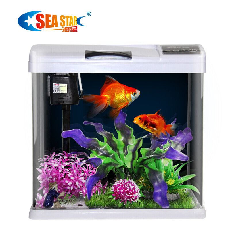魚缸養護技巧大揭秘魚缸養護技巧大揭秘：如何在家中擁有一片美麗的海洋生物魚缸