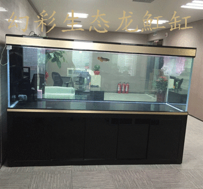 幻彩水族魚缸（幻彩水族魚缸是什么）