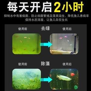 底濾魚缸殺菌燈的放置位置對于水族箱的健康至關(guān)重要：底濾魚缸殺菌燈放哪里最好
