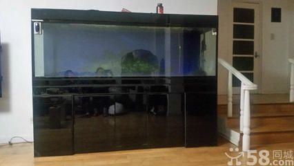 紅龍魚缸內要放幾根燈（關于紅龍魚缸內需要放置多少根燈管，魚友和專家給出了不同的建議） 紅龍魚缸內要放幾根燈（關于紅龍魚缸內需要放置多少根燈管，魚友和專家給出了不同的建議） 龍魚百科 第7張