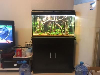 老漁匠魚缸誰代工的啊：老漁匠水族用品市場評價老漁匠魚缸質(zhì)量監(jiān)管措施 老漁匠魚缸誰代工的啊：老漁匠水族用品市場評價老漁匠魚缸質(zhì)量監(jiān)管措施 魚缸百科 第1張