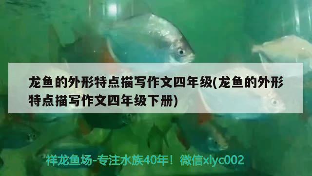 廣州伙陽商貿店