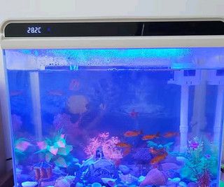 LED燈對魚缸水溫的影響：led燈對魚缸水溫的影響