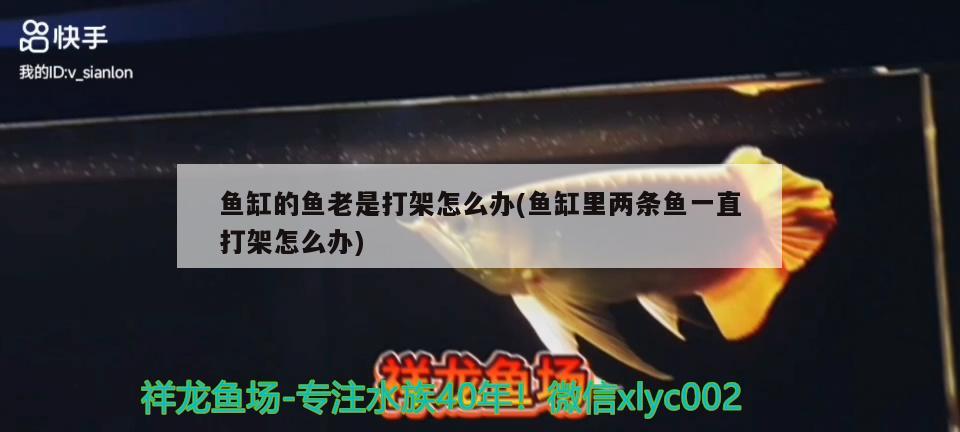 廣州市芳村茶煒記水族店