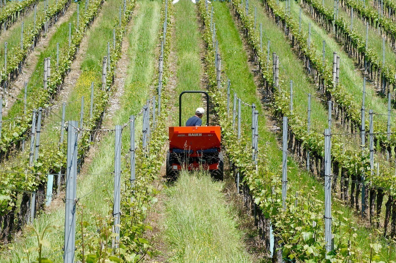 濟寧市兗州區金穗農作物種植專業合作社（濟寧市兗州區金穗農作物種植專業合作社地址）
