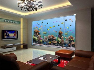 高端魚缸品牌十大排名榜最新：高端魚缸品牌排名發(fā)布博宇boyu位居榜首