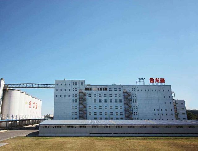 金龍魚武漢生產基地在哪里（武漢金龍魚生產基地）
