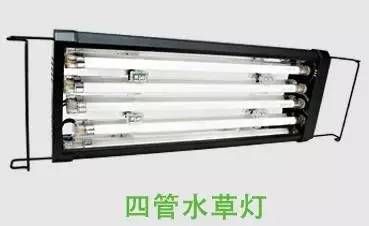 如何給魚缸更換燈管詳細步驟和注意事項和注意事項：如何給魚缸更換燈管