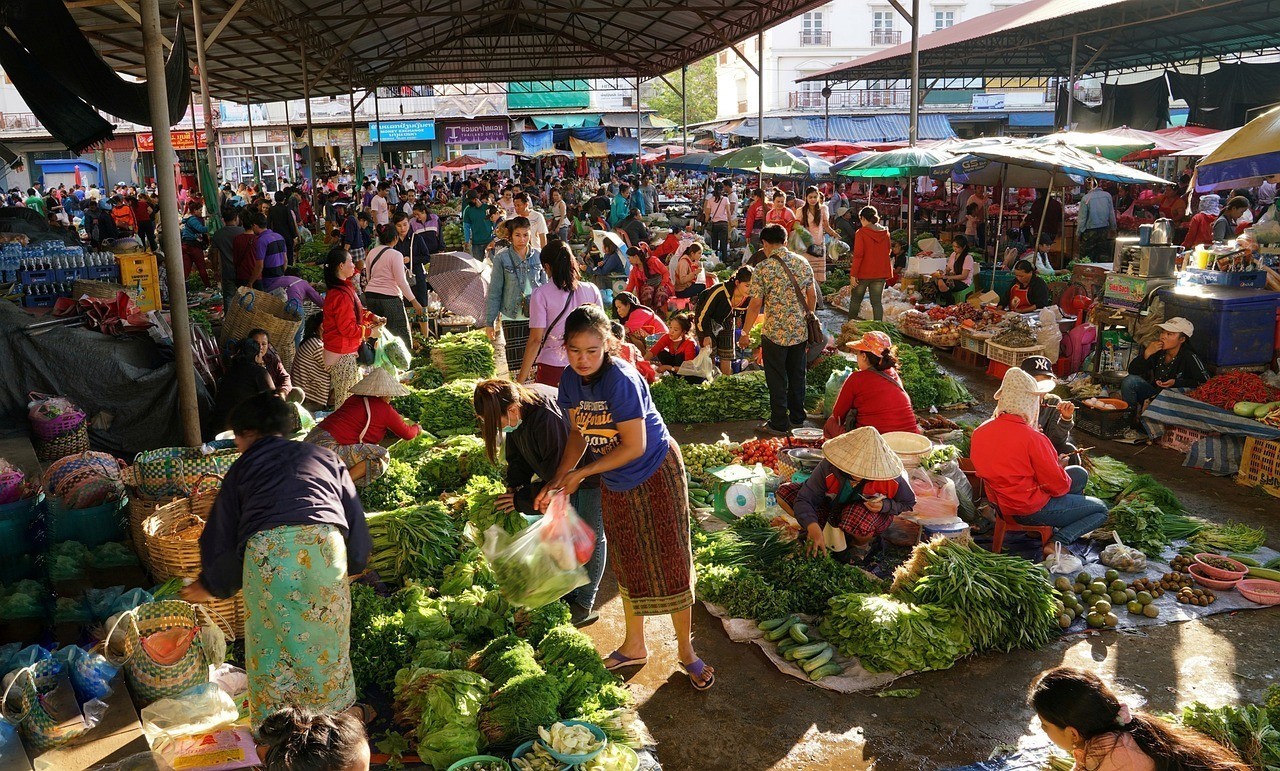 鄭州市金水區(qū)會(huì)玲觀賞魚銷售店