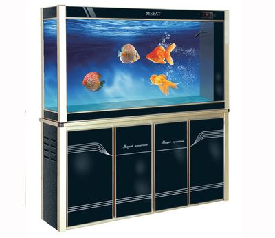 海陽市水族市場分析：海陽市多家店鋪銷售魚缸