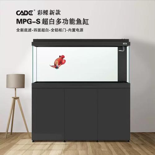 彩蝶最新款龍魚缸