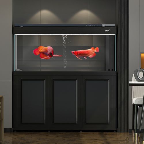 彩蝶最新款龍魚缸